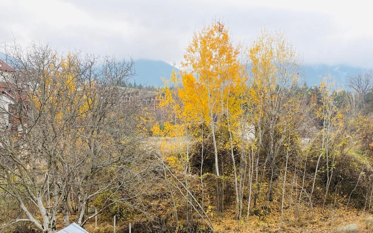 Charming Ski Apartments Near Gondola & Bar Street, Cedar Lodge 1 Complex バンスコ エクステリア 写真